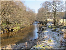 NY8452 : The River East Allen above Holms Linn by Mike Quinn