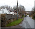 Swanbridge Road houses, Sully