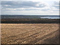 Field of stubble near Trewithick