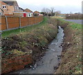 Stream flows past Brisbane, Stonehouse