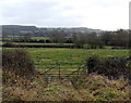 A roadside field near Crowcomepill