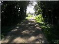 Bridleway heading to Buckland