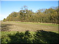 Fields and woods near Slipton Lodge