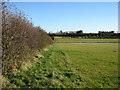 Fields south of Slipton Lodge