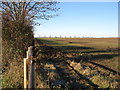 A field north of Comberton