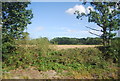 Farmland by the Marshlink Line