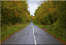 R9744 : Autumn Road by MBE21
