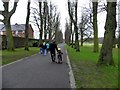 The long straight avenue in Lurgan Park