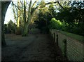 Cemetery Lane leading to Carmel Road North