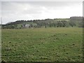 Field, Calder Vale