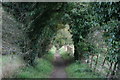 Footpath to Shere