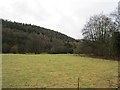 Lugg flood plain