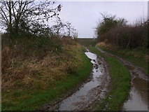 SO9150 : Bridleway from Upper Wolverton Farm by Liz Stone