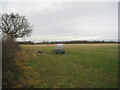 Field off Thorpe Grange Lane