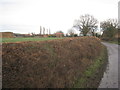 Well trimmed hedge, Thorpe Green Lane