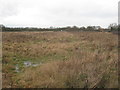 Abandoned field near Blacker Green