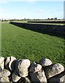 Stone walled fields east of Valley Road