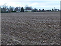 Farmland near Oadby