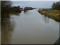 TF3902 : The River Nene at Guyhirn bridge by Richard Humphrey