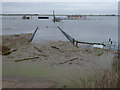 TF3500 : Bridge and floating debris - The Nene Washes by Richard Humphrey
