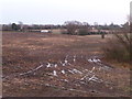 Waterlogged farmland, west of Westrum Lane