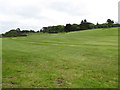 The Greens of the Royal Belfast Golf Course