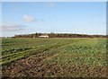 Footpath to Westley Waterless