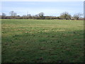 Grazing, Renny Farm