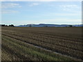 Farmland, Hatter