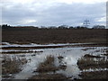 Farmland off the B1264