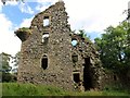 NT1643 : Drochil Castle by Rude Health 