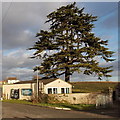 North side of Stroat Evangelical Church dwarfed by a tree