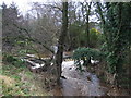 Cod Beck, Ellerbeck