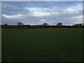 Farmland off the A19