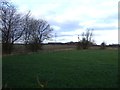 Farmland, Baulk Bridge