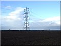 Farmland and pylon, Haggit Hill