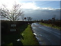 Road into Picton