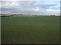 Farmland off Garbutts Lane