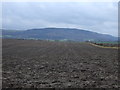 Farmland off Parson Back Lane