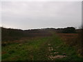 Footpath in Hastings Country Park (2)