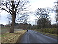 Road towards Hutton Rudby