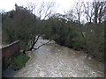 The River Leven, Hutton Rudby