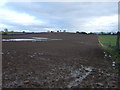 Farmland, Rudby