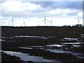 Farmland, Middleton Lodge