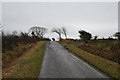 Lane from Sunderland towards Isel Old Park