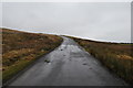 Lane near to Thistlebottom on Caldbeck Common