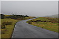 Road across Ellerbeck Common