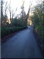 Ivy clad flint wall looking down Highwoodhall Lane to Bunkers Lane