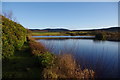 Loch Fern