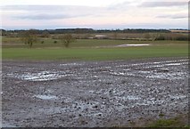 NU1920 : Waterlogged fields near Rock by Russel Wills